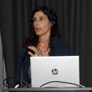 Ix Encontro Udc Mesa Medicina Mente Corpo Ana Jorge 1