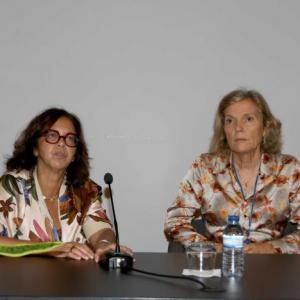 Ix Encontro Udc Mesa Papel Unidades Dor Almerinda Rodrigues 1